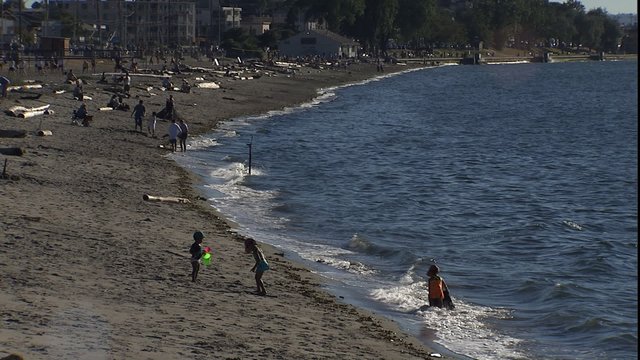 MWS alike beach on bright sunny day