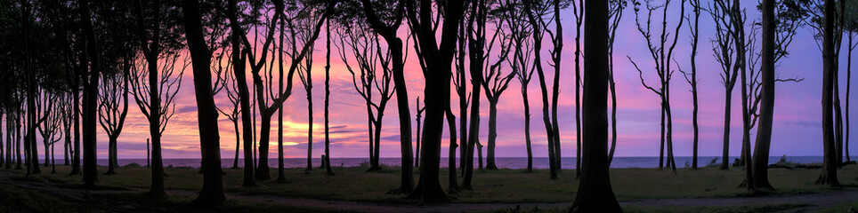 Gespensterwald Nienhagen Panorama