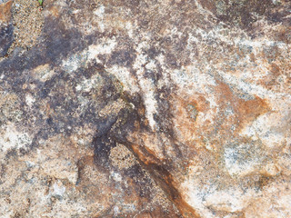 granite. background