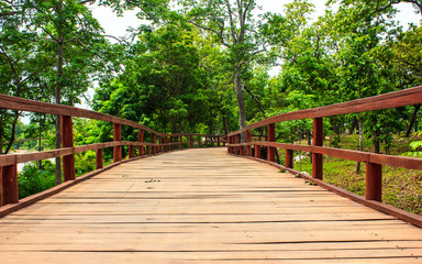 Obraz premium wood bridge