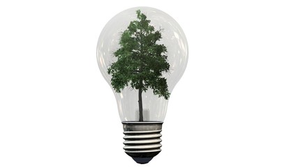 Tree in a light bulb - Energy saving - solaoted on white