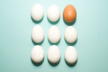 Chicken eggs of different colors on blue surfase