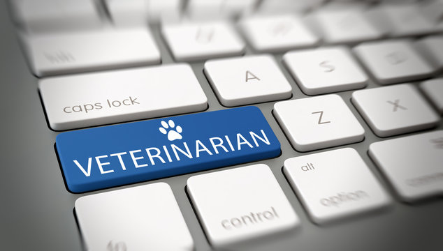 Online veterinarian concept
