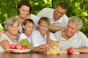 Family eating fruits in summer