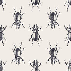 Beetles vintage seamless pattern
