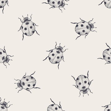 Beetles vintage seamless pattern
