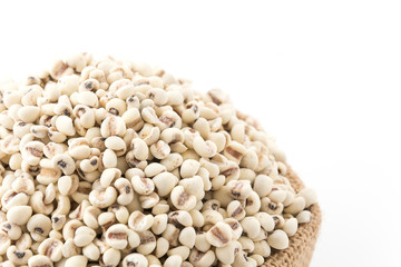 job's-tears of millet on white background