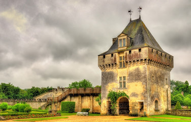 Chateau de la Roche Courbon in Charente-Maritime department of F - obrazy, fototapety, plakaty