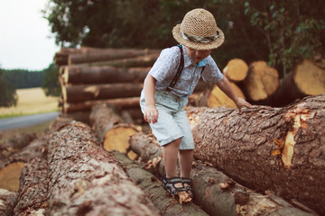 boy goes on logging
