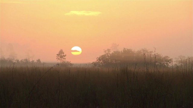 Sunrise over the Florida Everglades.