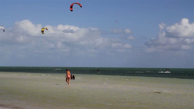 People engage in the fast moving sport kite boarding  along a sunny coast.
