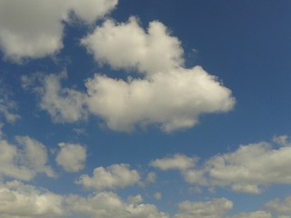 Cumulus cloudscape