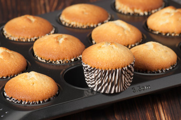 Plain Cupcakes In Baking Tray