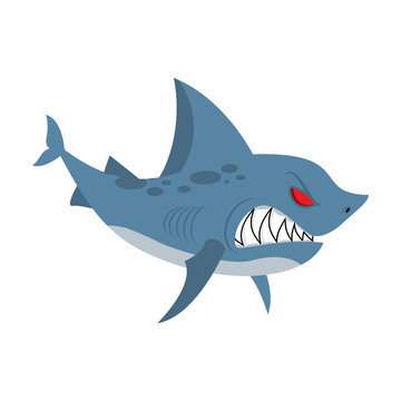 Angry shark. Marine predator with large teeth. Deep-water denize