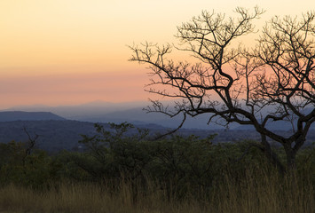 Naklejka na ściany i meble Sunset over the african bush