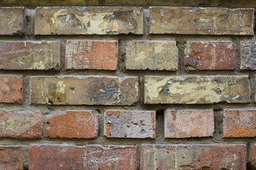 Brick wall