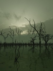 Fantasy illustration of a misty swamp with twisted trees standing in the water, 3d digitally rendered illustration - obrazy, fototapety, plakaty
