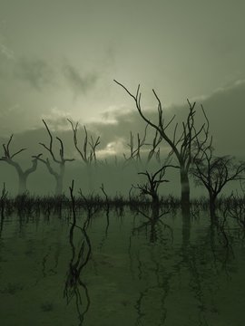 Fantasy illustration of a misty swamp with twisted trees standing in the water, 3d digitally rendered illustration