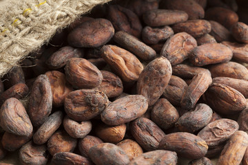 Cocoa beans in a jute bag