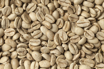  Malabar green unroasted coffee beans
