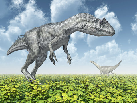 Allosaurus and Camarasaurus