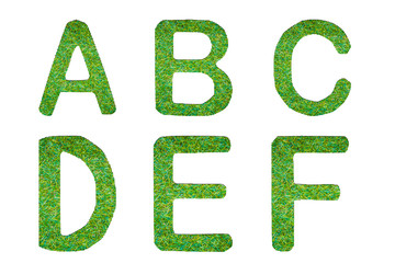 grass alphabet in isolated background abcdef set