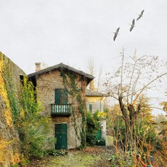 Vintage image of ancient uninhabited farmhouse in winter with fliyng birds