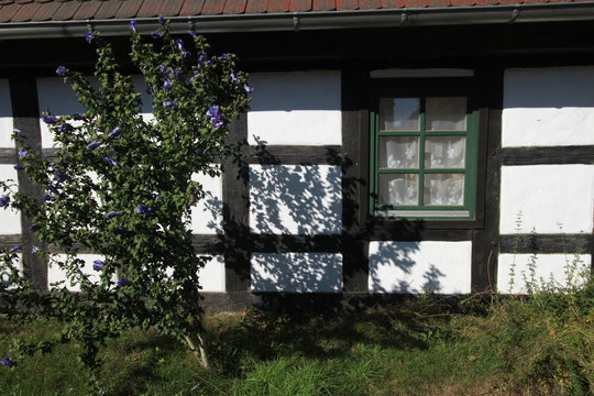 Spreewaldromantik in Schlepzig