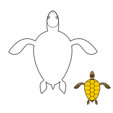 Turtle coloring book. Marine reptiles. Vector illustration