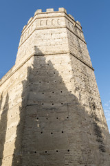 Exterior View of the Jerez de la Frontera Alcazar