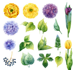 Set of floral elements - 91832940