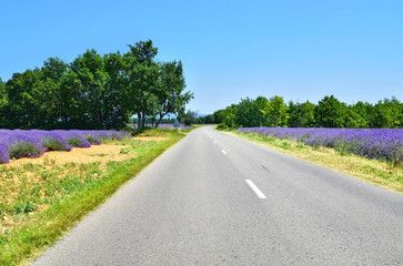 Fototapeta na wymiar Road in Provence, France