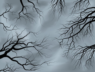 tree branches under the stormy sky