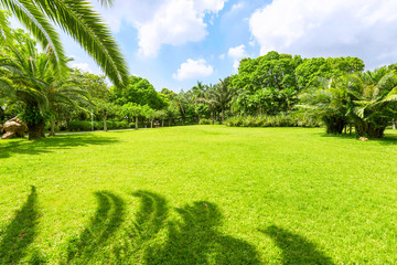 green park under sunshine