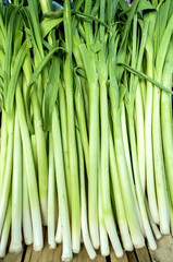 Fresh healthy bio leek on farmer agricultural market