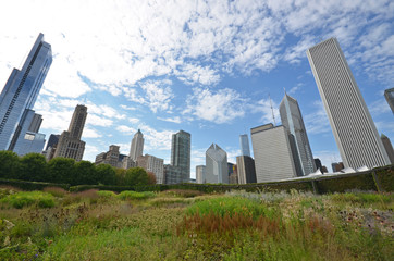 Chicago skyline grant park