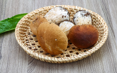 Wild Mushrooms