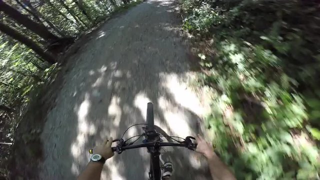 POV 4K biking on a macadam forest road