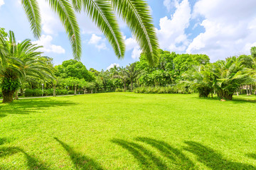 green park under sunshine
