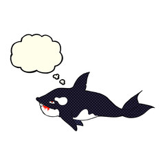 cartoon killer whale with thought bubble
