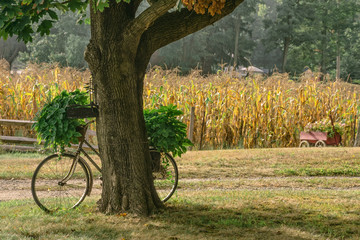 Bicycle Planter