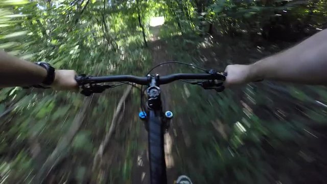 4K POV biking through a bushy trail