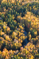 Naklejka na ściany i meble Forest river in autumn, top view