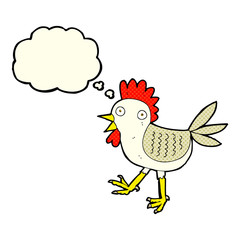 funny cartoon chicken with thought bubble