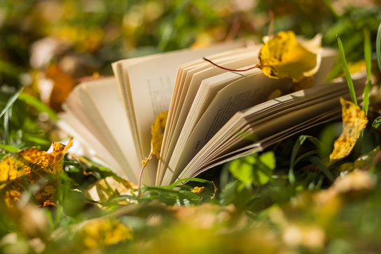 Old Book Forgotten In A Garden