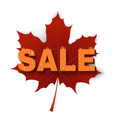 Maple Leaf with the SALE. Vector illustration