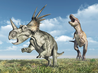 Fototapeta premium Tyrannosaurus Rex and Styracosaurus