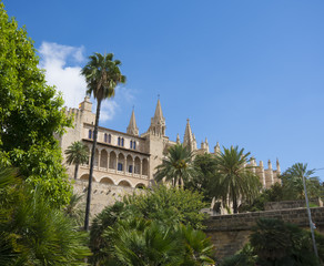 Fototapeta na wymiar Catedral Palma de Mallorca