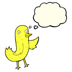 funny cartoon bird with thought bubble