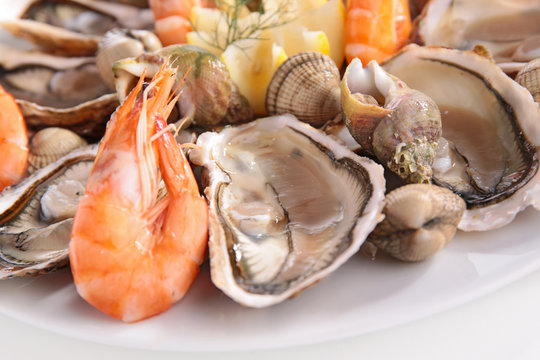 seafood